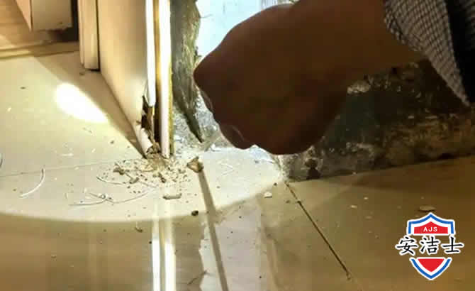 衢江区房屋建筑防治白蚁