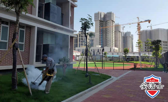 衢江区工厂工地除白蚁