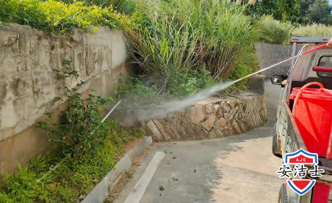 衢江区道路堤坝白蚁防治