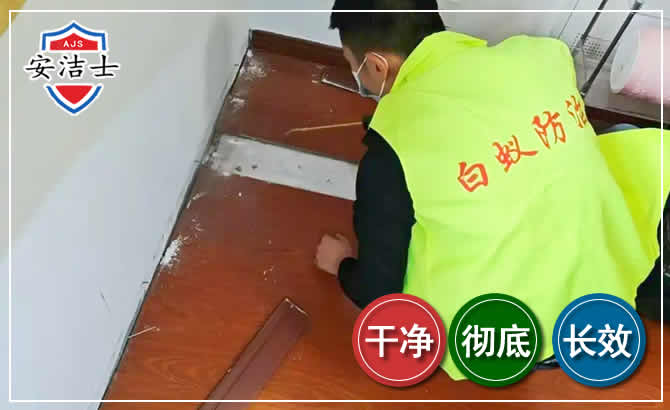 衢江区除四害现场