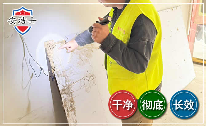 衢江区除白蚁现场