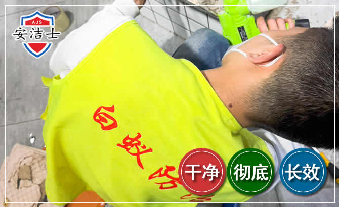 衢江区白蚁根治现场